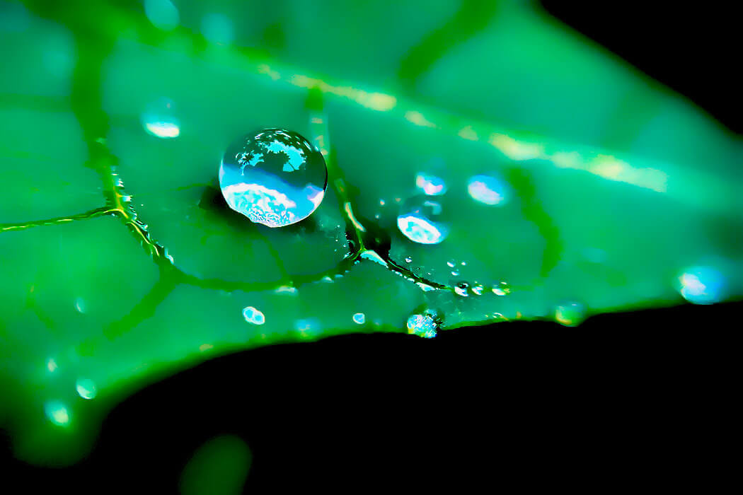 Raindrop falling into water